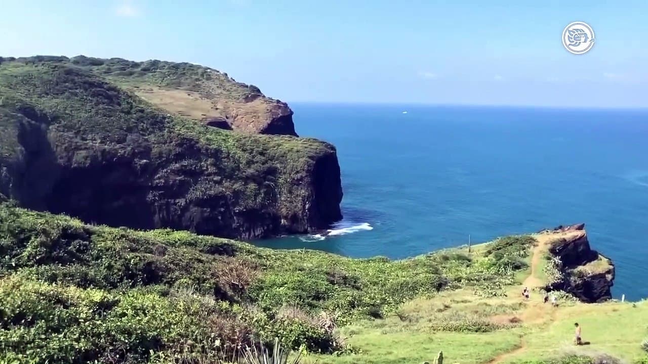 Aventuras en cenotes y grutas de Veracruz